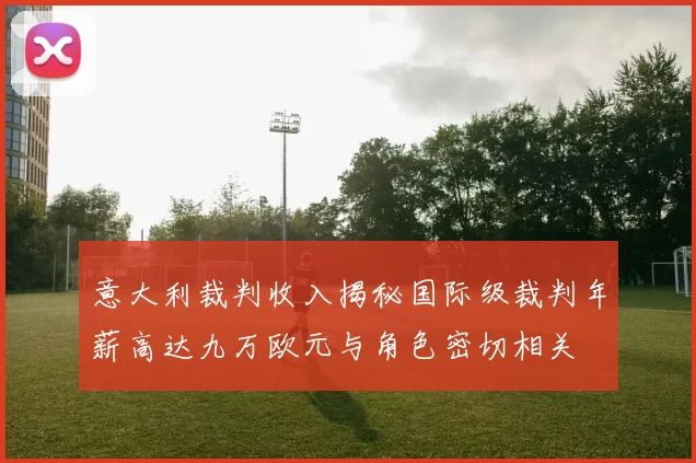 意大利裁判收入揭秘国际级裁判年薪高达九万欧元与角色密切相关