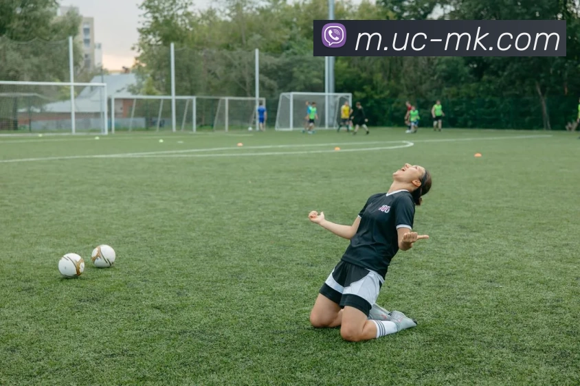 MK体育平台生态图